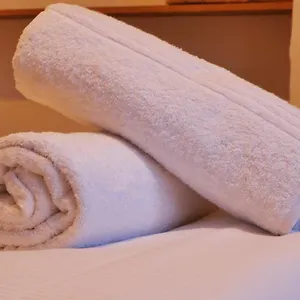 Au Charme D'antan En Plein Coeur Du Vieux Hébergement de vacances Lille